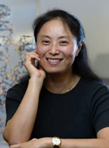 Danzhou Yang