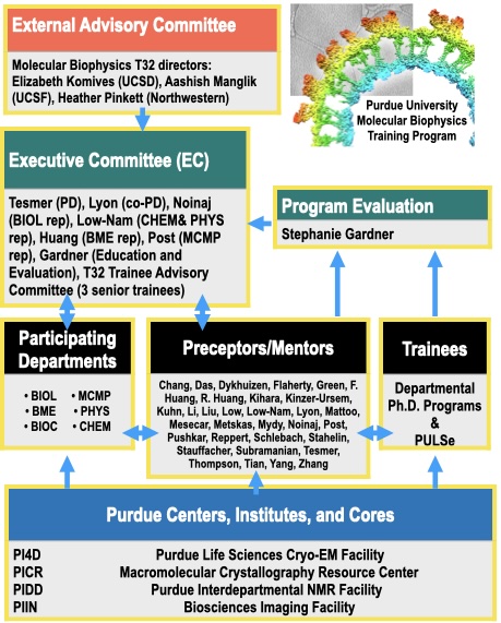 organization graphic